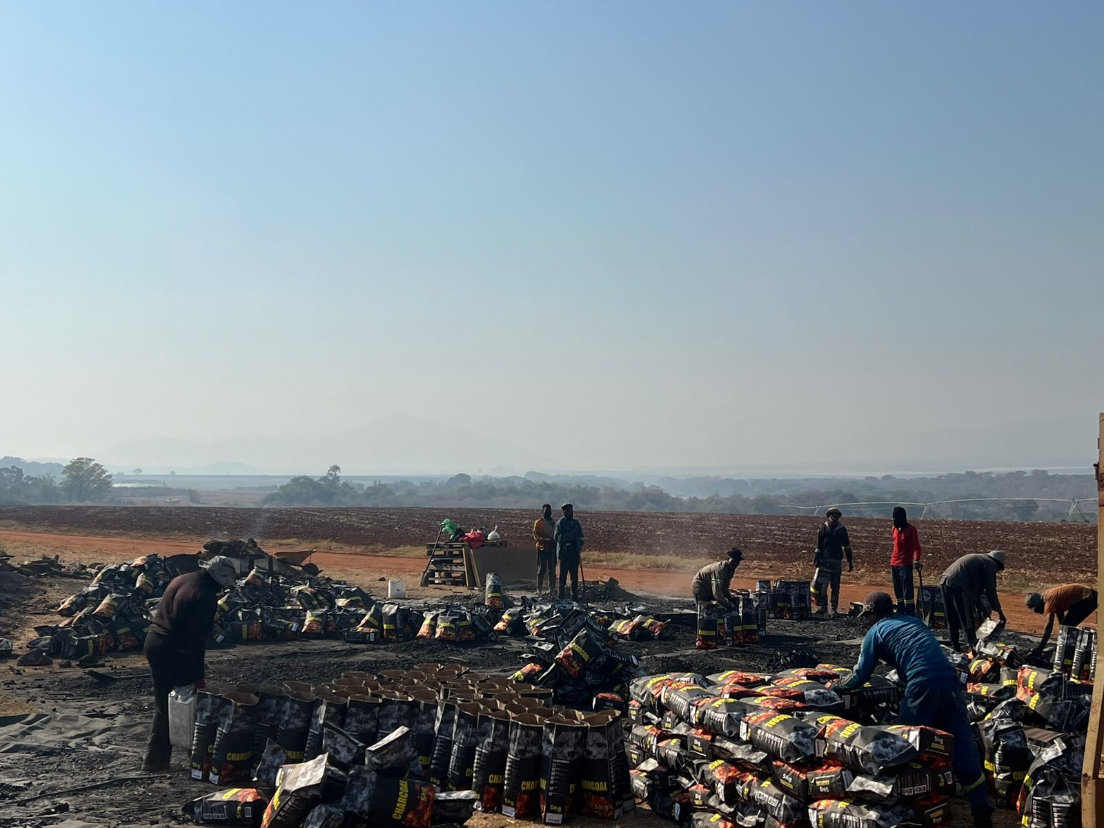 Early Loskop Charcoal production yard